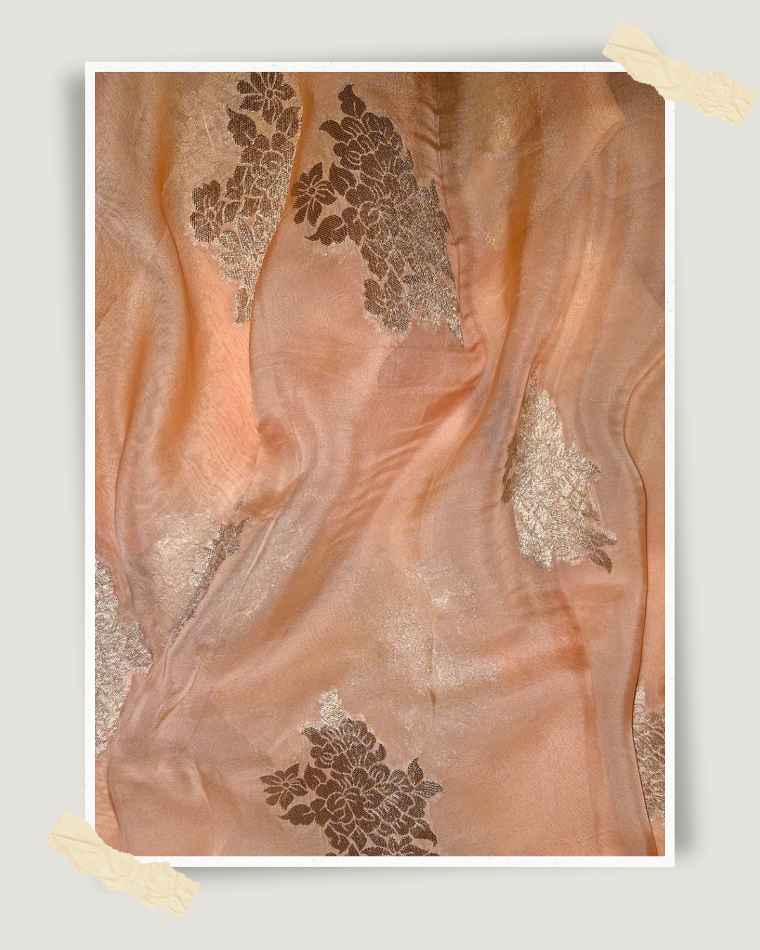 Peach Dream
